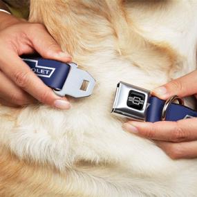 img 3 attached to 🐾 Buckle-Down Dog Collar Seatbelt Buckle: 1965 Chevrolet Bowtie Blue White - Adjustable Sizes for Small, Medium, and Large Dogs!