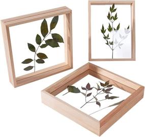 img 2 attached to 🖼️ SWTHONY Set of 2 8x8 Double-Sided Wooden Photo Frames, Showcase Pressed Flower Frames, Plant Specimen Herbarium Clips, for Table Display