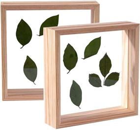 img 4 attached to 🖼️ SWTHONY Set of 2 8x8 Double-Sided Wooden Photo Frames, Showcase Pressed Flower Frames, Plant Specimen Herbarium Clips, for Table Display