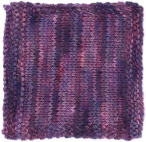 img 1 attached to 🧶 Living Dreams Yarn EcoLana - Certified Organic Merino, Ethically Sourced, Hand Dyed in the USA, Sugarplum