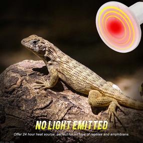 img 1 attached to 🔥 100W Trio of White Ceramic Heat Lamps with Thermo-Hygrometer: Infrared Reptile Heat Emitter, Pet Brooder Coop Heater Bulb for Chicken Lizard Turtle Snake Aquarium - ETL Listed