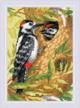 riolis 1851 woodpecker counted stitch logo