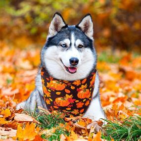 img 2 attached to Whaline Halloween Bandanas Reversible Neckerchief