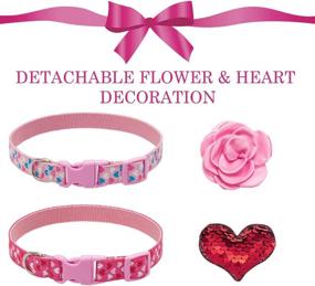 img 1 attached to 🐶 Small Dog Collars - Adorable Puppy Collar for Girls - Set of 2 Pink Adjustable Doggy Collars with Detachable Rose & Love Design, Suitable for Small to Medium Dogs for Festive and Daily Wear