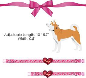 img 3 attached to 🐶 Small Dog Collars - Adorable Puppy Collar for Girls - Set of 2 Pink Adjustable Doggy Collars with Detachable Rose & Love Design, Suitable for Small to Medium Dogs for Festive and Daily Wear