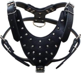 img 2 attached to 🐶 Haoyueer Spiked Studded Leather Dog Collar and Harness Set - Medium & Large Sizes Ideal for Pit Bulls, Mastiffs, Boxers, Bull Terriers