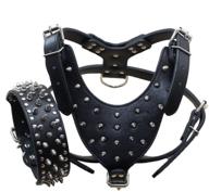 🐶 haoyueer spiked studded leather dog collar and harness set - medium & large sizes ideal for pit bulls, mastiffs, boxers, bull terriers logo