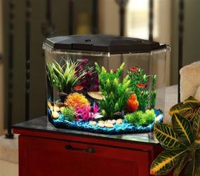 img 4 attached to 🐠 Koller Products Smart Tank 6.5-Gallon Aquarium with LED Lighting in Multiple Colors, Complete Filtration - 45 GPH, Smartphone Connectivity for iPhone and Android