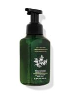 🌿 bath & body works eucalyptus spearmint stress relief gentle foaming hand soap: a soothing solution logo