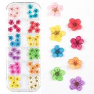 🌺 valuu 3d flower nail stickers: 60 real dry flower stickers in 12 natural colors logo