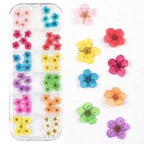 img 2 attached to 🌺 Valuu 3D Flower Nail Stickers: 60 Real Dry Flower Stickers in 12 Natural Colors