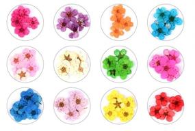 img 1 attached to 🌺 Valuu 3D Flower Nail Stickers: 60 Real Dry Flower Stickers in 12 Natural Colors