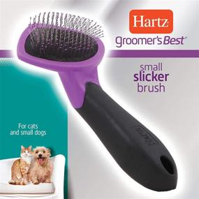 img 2 attached to 🐾 Hartz Groomer's Best Slicker Brush: Effective Dog and Cat Grooming Tool for Detangling and Deshedding All Coat Types