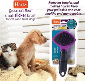 img 1 attached to 🐾 Hartz Groomer's Best Slicker Brush: Effective Dog and Cat Grooming Tool for Detangling and Deshedding All Coat Types