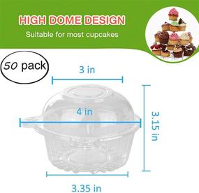 img 3 attached to 🧁 50 Pack of Clear Plastic Single Compartment Cupcake Containers with Lids – Perfect for Cupcake Carrying, Hamburger Storage, Salad, and Party Favors – Deep Dome Design with Stackable Feature
