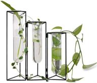 🌿 shina test tube vase set: stylish hydroponics cylinder glass planters with black iron stand- ideal for home office décor and flower display logo