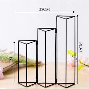 img 3 attached to 🌿 SHINA Test Tube Vase Set: Stylish Hydroponics Cylinder Glass Planters with Black Iron Stand- Ideal for Home Office Décor and Flower Display