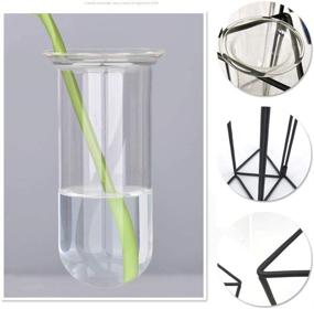 img 2 attached to 🌿 SHINA Test Tube Vase Set: Stylish Hydroponics Cylinder Glass Planters with Black Iron Stand- Ideal for Home Office Décor and Flower Display