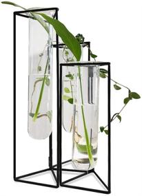 img 1 attached to 🌿 SHINA Test Tube Vase Set: Stylish Hydroponics Cylinder Glass Planters with Black Iron Stand- Ideal for Home Office Décor and Flower Display