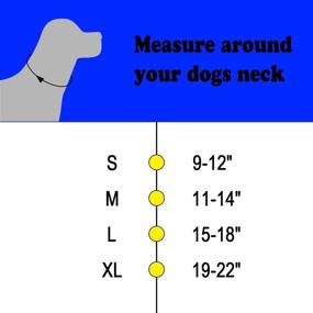 img 1 attached to 🐶 Martingale Collar for Medium to Large Dogs - Heavy Duty Double Row Chain Training Collar