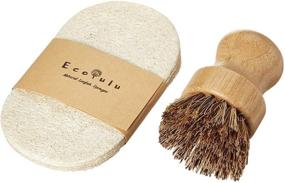img 4 attached to 🌿 ECOLULU 5 Pack Eco-Friendly Sponges &amp; 1 Natural Bristle Bamboo Dish Brush - Biodegradable & Compostable, Zero Waste Products for Dishes, Eco Sponges for Sustainable Cleaning