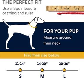 img 1 attached to 🐾 RUFFWEAR Chain Reaction Dog Collar: A Martingale Style for On-Leash Walking Perfection