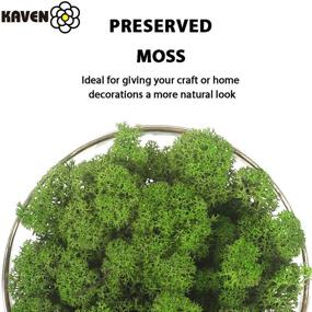 img 3 attached to 🌿 Green Preserved Moss for Fairy Gardens, Terrariums, Crafts, Floral Projects, Weddings & More - 3OZ