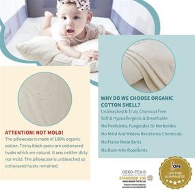 img 2 attached to 🌿 Lofe Organic Kids Pillow with Pillowcase - 16x22 Youth Pillow, 100% Organic Cotton Shell, Adjustable Loft, Machine Washable, Soft & Hypoallergenic, Breathable Large Size Toddler Pillow: The Perfect Organic Pillow for Your Child's Restful Sleep