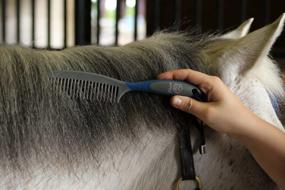 img 3 attached to 🐎 Oster Comb Mane & Tail Blue: The Ultimate Grooming Tool for Horses