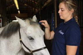 img 2 attached to 🐎 Oster Comb Mane & Tail Blue: The Ultimate Grooming Tool for Horses