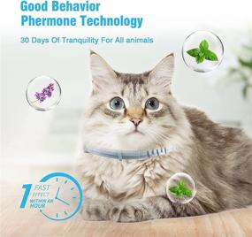 img 1 attached to 🐱 Kaspiu 3-Pack Calming Collar for Cats - Pheromone Calm Anxiety Collar, Stress Reliever + Relaxing Comfort, Breakaway Design - Gray for Cats and Kittens