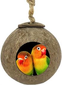 img 4 attached to 🥥 TIHOOD Coconut Bird Nest: All-Natural Coconut Shell House for Pet Parrot Budgies and Parakeets