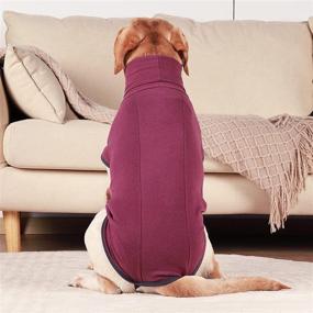 img 2 attached to Warm and Stylish HEYWEAN Dog Fleece Sweaters: Sleeveless and Pullover Design Sweatshirt Vest for Dogs of All Sizes