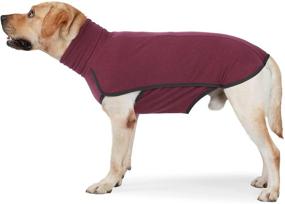 img 4 attached to Warm and Stylish HEYWEAN Dog Fleece Sweaters: Sleeveless and Pullover Design Sweatshirt Vest for Dogs of All Sizes