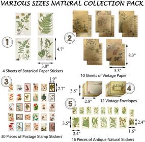 img 2 attached to 🎀 Stosts Vintage Scrapbooking Stickers Pack – Decorative Antique Retro Natural Collection for DIY, Journal, and Crafts – Embellishment Supplies with Washi Paper for Notebook, Album, Invitations, and Gifts