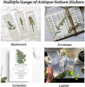 img 1 attached to 🎀 Stosts Vintage Scrapbooking Stickers Pack – Decorative Antique Retro Natural Collection for DIY, Journal, and Crafts – Embellishment Supplies with Washi Paper for Notebook, Album, Invitations, and Gifts