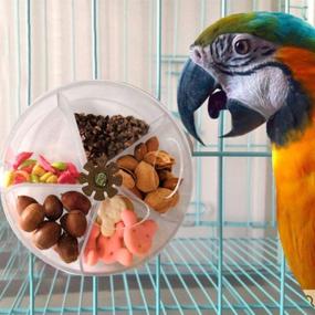 img 2 attached to 🐦 Bird Foraging System Wheel: Interactive Training Toy for Small and Medium Parrots, Parakeets, Cockatiels, and Conures