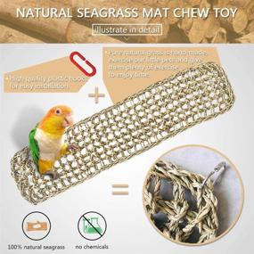 img 3 attached to 🐦 Bird Seagrass Mat: Natural Grass Woven Net Hammock for Hanging on Parrot Cage, 4 Hooks Included. Parakeet Climbing Rope Ladder Chew Toys for Lovebird Cockatiel Conure Budgie, Cockatoo Supplies – Size: 28.3" x 6.7