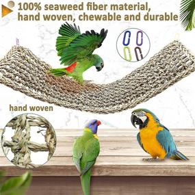 img 1 attached to 🐦 Bird Seagrass Mat: Natural Grass Woven Net Hammock for Hanging on Parrot Cage, 4 Hooks Included. Parakeet Climbing Rope Ladder Chew Toys for Lovebird Cockatiel Conure Budgie, Cockatoo Supplies – Size: 28.3" x 6.7