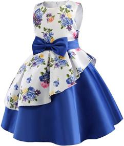 img 2 attached to 🌸 Flower Girls Pageant Party Dresses for Kids - Special Occasion Dress by NSSMWTTC