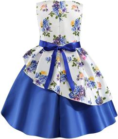 img 1 attached to 🌸 Flower Girls Pageant Party Dresses for Kids - Special Occasion Dress by NSSMWTTC