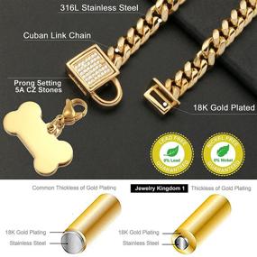 img 1 attached to 🔗 Jewelry Kingdom 1 Dog Chain Collar with Tag and Ice-Out CZ Stones | Secure Buckle | 18K Stainless Steel Cuban Link Chain 6MM Walking Training Collar | Adjustable 10in to 20in for Dog Puppy Cats Kitty