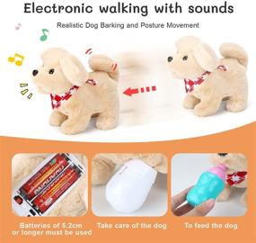 img 2 attached to Sotodik Electric Walking Grooming Set - Educational