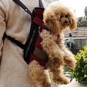 img 1 attached to Alfie Pet Petoga Couture Adjustable Dogs for Carriers & Travel Products