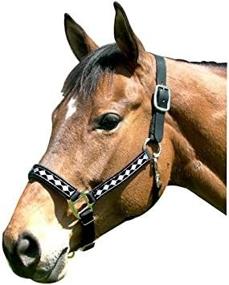 img 1 attached to 🔍 Optimized for SEO: Intrepid International Padded Leather Crown Diamond with Nose Halter