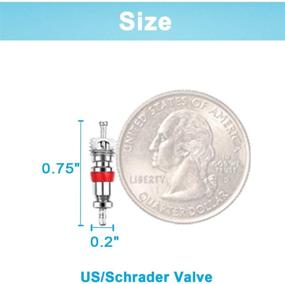 img 3 attached to Riseuvo 100Pcs Schrader Tire Valve