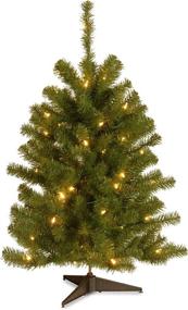 img 4 attached to 🎄 National Tree Company Eastern Spruce Artificial Mini Christmas Tree - 3 ft, Pre-Lit with White Lights and Stand