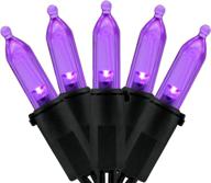 🎃 premium purple led christmas lights: 66ft 200 count ul certified commercial grade halloween string light set (purple - black wire) логотип