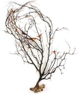 enhance your aquarium's aesthetics with ueetek natural black sea coral ornaments: exquisite dried coral decorations and sea fans! logo
