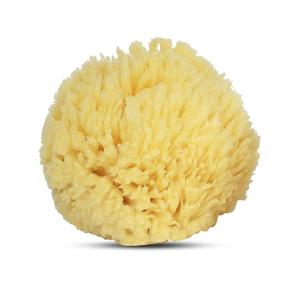 img 2 attached to Baby Buddy’s Ultra Soft Premium Natural Sea Wool Sponge: Gentle, Hypoallergenic Bathing for Babies with Tender Skin